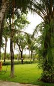 Туры в отель Paloma Phu Quoc Hotel Туры в отель Paloma Phu Quoc Hotel
