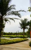 Туры в отель Paloma Phu Quoc Hotel Туры в отель Paloma Phu Quoc Hotel