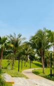 Туры в отель Paloma Phu Quoc Hotel Туры в отель Paloma Phu Quoc Hotel