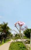 Туры в отель Paloma Phu Quoc Hotel Туры в отель Paloma Phu Quoc Hotel