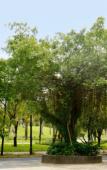 Туры в отель Paloma Phu Quoc Hotel Туры в отель Paloma Phu Quoc Hotel