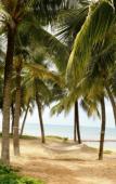 Туры в отель Paloma Phu Quoc Hotel Туры в отель Paloma Phu Quoc Hotel