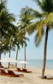Туры в отель Paloma Phu Quoc Hotel Туры в отель Paloma Phu Quoc Hotel