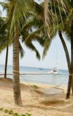 Туры в отель Paloma Phu Quoc Hotel Туры в отель Paloma Phu Quoc Hotel