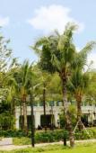 Туры в отель Paloma Phu Quoc Hotel Туры в отель Paloma Phu Quoc Hotel