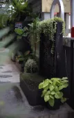 Туры в отель YOLO Bangkok Boutique Hotel Туры в отель YOLO Bangkok Boutique Hotel