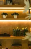 Туры в отель NAP Hotel Bangkok Туры в отель NAP Hotel Bangkok
