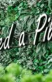 Туры в отель NAP Hotel Bangkok Туры в отель NAP Hotel Bangkok