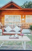 Туры в отель The Village Boutique Resort Туры в отель The Village Boutique Resort