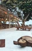 Туры в отель Blue Turtle Hotel Samui Туры в отель Blue Turtle Hotel Samui