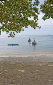 Туры в отель Blue Turtle Hotel Samui Туры в отель Blue Turtle Hotel Samui