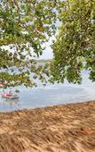 Туры в отель Blue Turtle Hotel Samui Туры в отель Blue Turtle Hotel Samui