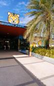 Туры в отель Love Rawai Hotel Туры в отель Love Rawai Hotel