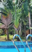 Туры в отель Sunrise Resort Phu Quoc Туры в отель Sunrise Resort Phu Quoc