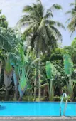 Туры в отель Sunrise Resort Phu Quoc Туры в отель Sunrise Resort Phu Quoc