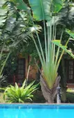 Туры в отель Sunrise Resort Phu Quoc Туры в отель Sunrise Resort Phu Quoc