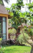 Туры в отель Sunrise Resort Phu Quoc Туры в отель Sunrise Resort Phu Quoc