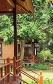 Туры в отель Sunrise Resort Phu Quoc Туры в отель Sunrise Resort Phu Quoc