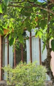 Туры в отель Sunrise Resort Phu Quoc Туры в отель Sunrise Resort Phu Quoc