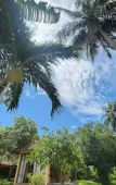 Туры в отель Sunrise Resort Phu Quoc Туры в отель Sunrise Resort Phu Quoc