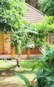 Туры в отель Sunrise Resort Phu Quoc Туры в отель Sunrise Resort Phu Quoc