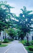Туры в отель Elyday Villa - Bai Khem Beach, Phu Quoc Туры в отель Elyday Villa - Bai Khem Beach, Phu Quoc