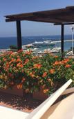 Туры в отель Hotel Pithaeusa Туры в отель Hotel Pithaeusa