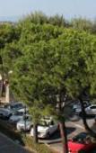Туры в отель Hotel Plaza Туры в отель Hotel Plaza