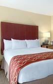 Туры в отель Pointe Hilton Squaw Peak Resort Туры в отель Pointe Hilton Squaw Peak Resort