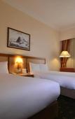Туры в отель Polat Erzurum Resort Hotel Туры в отель Polat Erzurum Resort Hotel