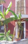 Туры в отель Villa Pollina Туры в отель Villa Pollina