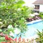 Туры в отель Pondok Sari Hotel Kuta Bali, оператор Anex Tour