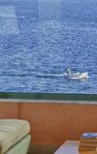 Туры в отель Xenia Poros Image Hotel Туры в отель Xenia Poros Image Hotel