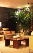 Туры в отель Porto Bay Rio Internacional Туры в отель Porto Bay Rio Internacional