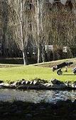 Туры в отель Posada Los Alamos Туры в отель Posada Los Alamos