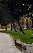 Туры в отель Posada Los Alamos Туры в отель Posada Los Alamos