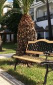 Туры в отель Palmyra Golden Beach Туры в отель Palmyra Golden Beach