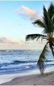 Туры в отель Puerto Plata Village Туры в отель Puerto Plata Village