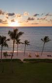 Туры в отель Tortuga Bay Hotel Puntacana Resort & Club Туры в отель Tortuga Bay Hotel Puntacana Resort & Club