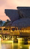 Туры в отель Tortuga Bay Hotel Puntacana Resort & Club Туры в отель Tortuga Bay Hotel Puntacana Resort & Club
