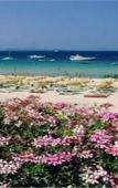 Туры в отель Hotel Punta Est Туры в отель Hotel Punta Est