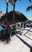 Туры в отель Roc Varadero Туры в отель Roc Varadero