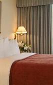 Туры в отель Quality Suites Airport Туры в отель Quality Suites Airport