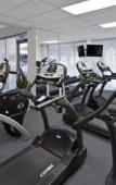 Туры в отель Radisson Hotel & Suites Туры в отель Radisson Hotel & Suites