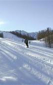 Туры в отель Rad-und Familienhotel Ariell Туры в отель Rad-und Familienhotel Ariell