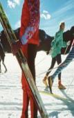 Туры в отель Rad-und Familienhotel Ariell Туры в отель Rad-und Familienhotel Ariell