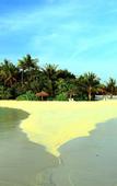 Туры в отель ZAZZ Island Maldives Туры в отель ZAZZ Island Maldives
