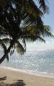 Туры в отель Reef Holidays Apartments Туры в отель Reef Holidays Apartments