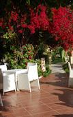Туры в отель Smartline Hammamet Regency Туры в отель Smartline Hammamet Regency