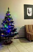 Туры в отель Rest Home Туры в отель Rest Home